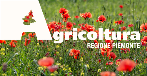 Apertura Bando per le imprese colpite dagli eventi Metereologici eccezionali dal 15 al 17 Aprile 2025 - SCADENZE E PARTECIPAZIONE PORTALE NEMBO